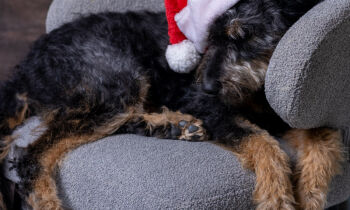 23 December kersttruiendag mét leuke actie !