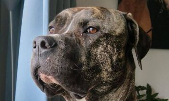 En de winnaar is......