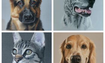 Fotowedstrijd Dierendag!