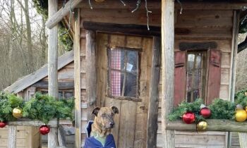 Gewijzigde openingstijden met Kerst en Oud- en nieuw!