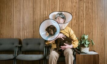 Informatieavond Jeuk 1 april 2025