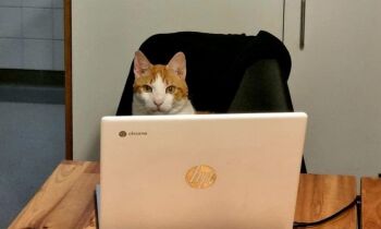 Stroomstoring vrijdag 31 januari 9-13u