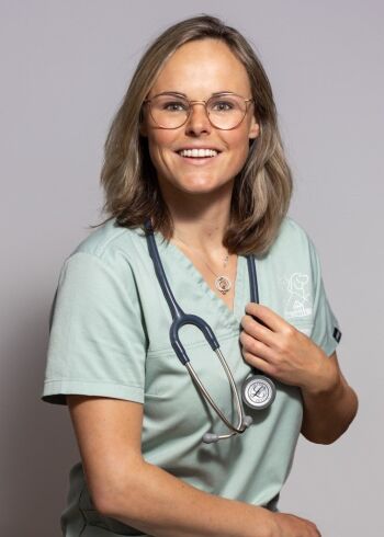 Inge Koenders