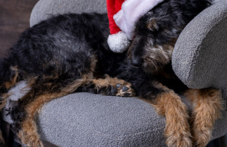 23 December kersttruiendag mét leuke actie !